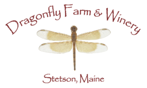 dragonfly-ad-logoweb
